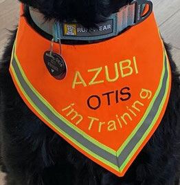 AZUBI Halstuch, Hund, Hundehalstuch,Reflektor
