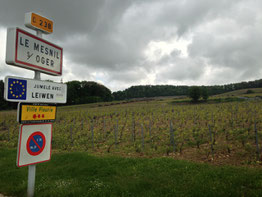 The Grand Cru village of Le Mesnil sur Oger