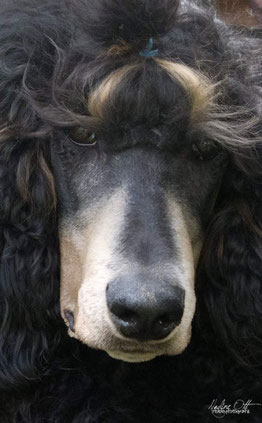 Dieser Blick ist ein absoluter Traum ...