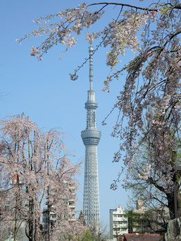 いーもんさん:東京浅草・浅草寺境内