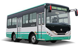 Dong Feng Bus