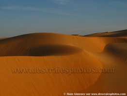 Mauritanie,Afrique,sahara occidental,désert,sable,dune ronde,crépuscule,tombée nuit,ridules