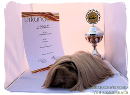 Olivia vom Sommerbach mit ihrem 1. Platz