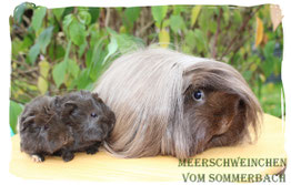 Cleopatra mit ihren beiden Mädels