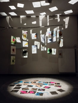 Installation avec les seconde "nature" - Lycée agricole des Alpilles