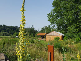 Foto: Weigand Naumann