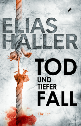 Tod und tiefer Fall (Ein Erik-Donner-Thriller 1)