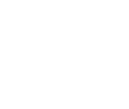 FREILAUF Hundebetreuung Webseite!