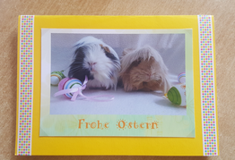 Ostergrüße von Tragosso und seiner neuer Partnerin Bitsy