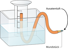 Sprirometer, Versuchsaufbau, Biologie