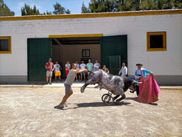 capeas para despedidas en Sevilla