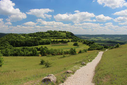 Hügelige Landschaft mit Weg - Symbol für den Lebensweg