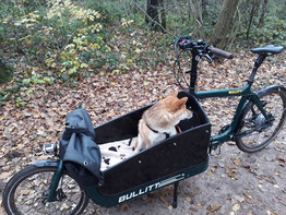 Ich mit unserem Lastenfahrrad ohne die rote Box