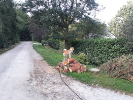 Hein Holzstapel wie gemacht für mich