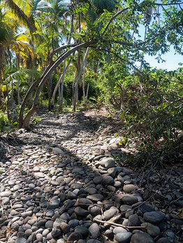 Chemin de randonnée Vx-Habitants - Guadeloupe