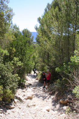 Bild: Wanderung von der  Calanque Port Pin zur Calanque d´en Vau.