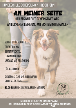 Hundeschule Schepolino 69434 Hirschhorn Leinenführung