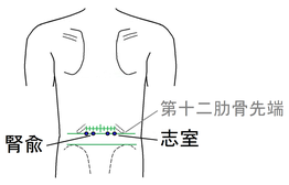甲状腺異常 ツボ健康療法講座