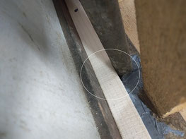札幌市、ねずみ駆除は、建築構造に詳しいいざなみ宅建にお任せください。