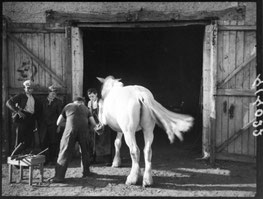 « Scène de vie quotidienne à Château-du-Loir, Sarthe, en automne 1941 : habitants dans la rue. Photographie d'archive par Sylvain Knecht. »