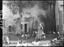 "Fermière s’occupant de la basse-cour sous l’Occupation, bidons de lait en fer blanc et dépendances troglodytes, vie rurale en sarthe en vallée du loir pendant la Seconde Guerre mondiale".