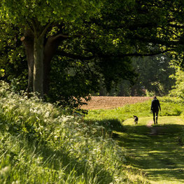 Wandern in den Baumbergen