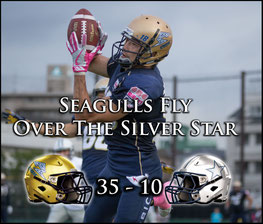 Seagulls (35) - (10) Silver Star