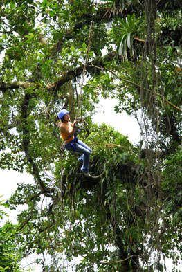 Canopy Tour and Tarzan Swing