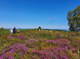 holidays in a donkey-farm in limousin
