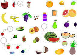 fruit woordenschat