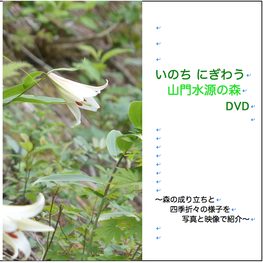 DVD：いのちにぎわう山門水源の森