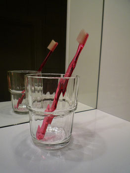 Still life with Toothbrush - Masami Hirohata