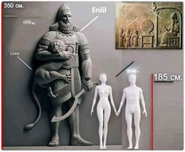 Cliquer pour agrandir