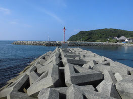 アオリイカの釣り場の写真2