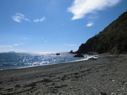 釣り場の写真