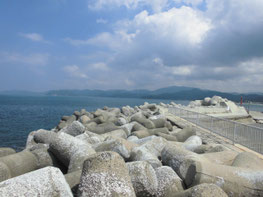 釣り場の写真