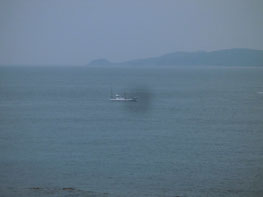 曳釣りをする漁船の写真