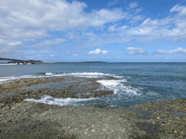浅場の釣り場の写真
