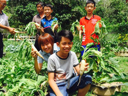 A lot of delicious vegetables were made!