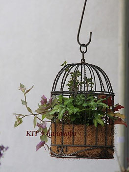 葉ものを使ったオシャレな鳥かご ハンギングバスケット 寄せ植えのｋｉｔ 花工房 広島県福山市