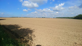 La plaine de la Beauce pourrait devenir un désert vers la moitié de ce siècle... Son climat va changer.