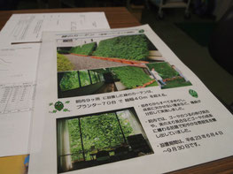 夏場のグリーンカーテンの説明資料