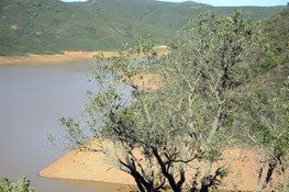 Blick auf den Arade-Stausee