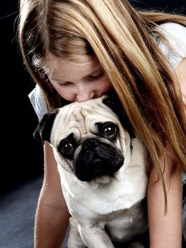 Cooper, ehemaliger Notmops, mit Freundin Zoe