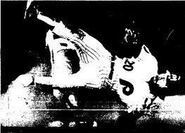Mike Schmidt gets tangled up with Mets second baseman Doug Flynn.