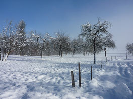 Streuobst Winter Schnaps