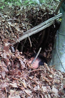 サバイバル３の法則 のぐち接骨院 さいたま市南区 クラニアル療法 交通事故治療