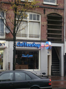 Coffeeshop Weedshop Blue Lagoon Amsterdam