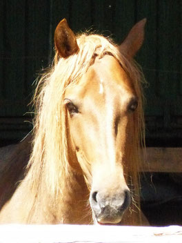 Sally <3