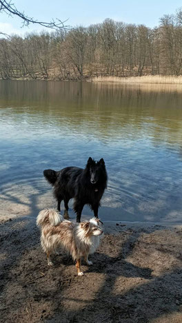 Frühlingsgefühle am Grunewaldsee, April 23